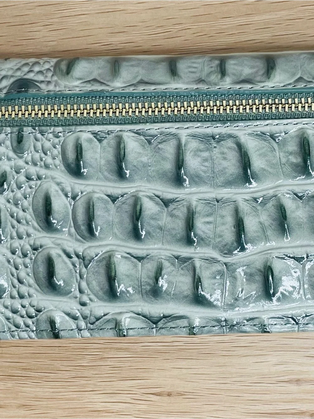 Brahmin glossy croc